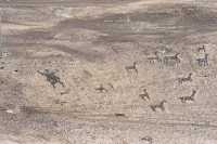 128 Géoglyphes Détail (gauche)