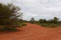 21 Mereenie Loop Road