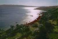 284 Fond de Mellieha Bay