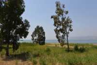 63 Le lac de Tibériade à Tabgha-Dalmanutha