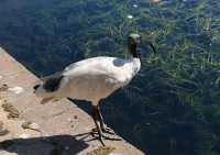 14 Le jardin botanique