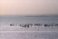 01 Egypte - Lac Moéris