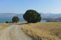 13 Lac de Tibériade vu du mont des Béatitudes