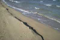 286 Fond de Mellieha Bay