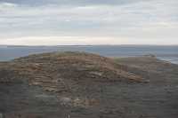 52 Pingouins sur l'Isla Magdalena