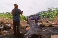 388 Finca El Baul tête colossale dans la forêt rites chamaniques