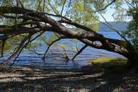 29 Lac Te Anau