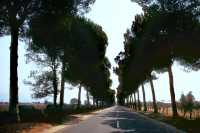 517 Entre le Forum d'Appius et les 3 Tavernes