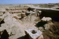 778 Mari, puits, cour de la maison du roi