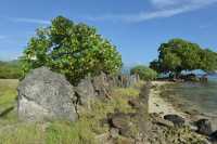 136 Marae Opu Teina (Taputapuatea) B