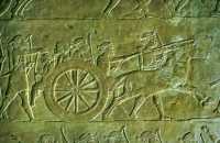633 Ninive - Palais nord d'Assurbanipal, armée élamite