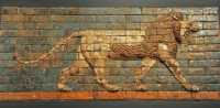 33 Lion de la voie processionnelle de Babylone - Briques émaillées - Règne de Nabuchodonosor II (604-562)