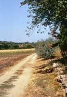 523 Les 3 Tavernes (vers Rome)