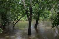 03 Rivière - Gungurul