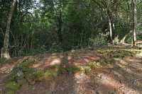 28 Plate-forme de tir à l'arc (Vallée d'Opunohu)