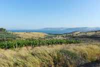 59 Lac de Tibériade