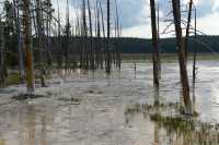 50 Lower Geyser Basin B