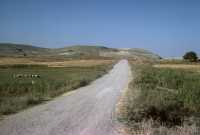 116 vers la Bitliynie