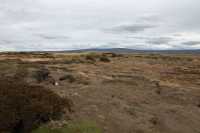 078 Seno Otway & pingouin