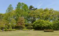 062 Château Nijo-jo (Parc)