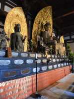 017 Kofuku-ji (Karikon-do - Buddha)