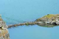 058 Barrage de castor