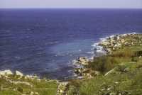 315 Entre St Paul et Mellieha