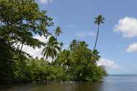 062 Jardin botanique de Motu Ovini