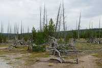 39 Monument Geyser Basin