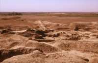 795 Mari, temple de Nini-Zaza vu de la Ziggurat