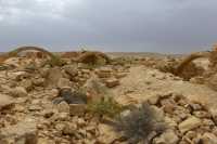 08 La maison aux mangeoires