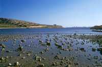 299 St Paul's Bay nord centre