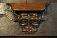 076 Stalle - Visage bovin