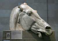 047 - Fronton Est - Cheval du char de Séléné