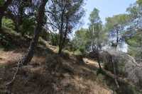 47 Sur les pentes du Mont Thabor