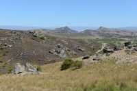 52 Région semi-désertique - Sud d'Alexandra