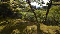 91 Ginkaku-ji - Jardin