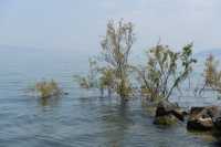 17 Rive du lac près de la chapelle de la confession de Pierre