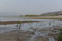 62 Le lac près de Magdala - Tibériade à l'arrière plan à droite