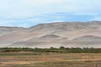 10 Vallée du Lluta - Géoglyphes