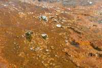 26 Lower Geyser Basin B