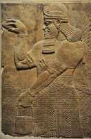 15 Palais N.O. d'Asurnasirpal (883-859) à Nimrud