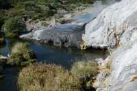 169 Pohutu (Geyser constant) Te Puta B