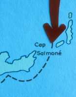 133 Carte - Cap Salmoné