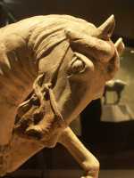 84 T Cuite Tang (618-907)