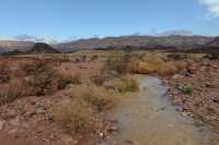 013 Timna après l'orage