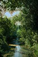 245 Philippes - Rivière