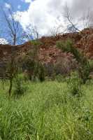 17 Kathleen Springs B