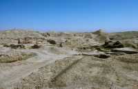 792 Mari, temple de Nini-Zaza