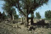 211 Synagogue de Qazrin